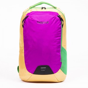 2021 new design contrast color handiness hiking sport backpack