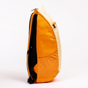 Light weight sport backpack