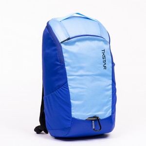 2021 New Design Fashion Light Weight Hiking Travel Backpack