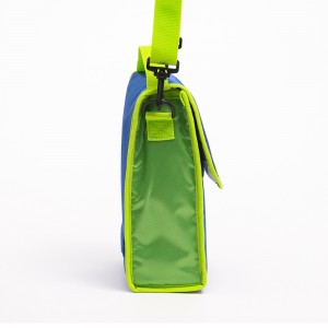 Foldable Lunch Bag Cooler Bag